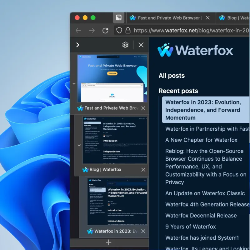 Waterfox_01